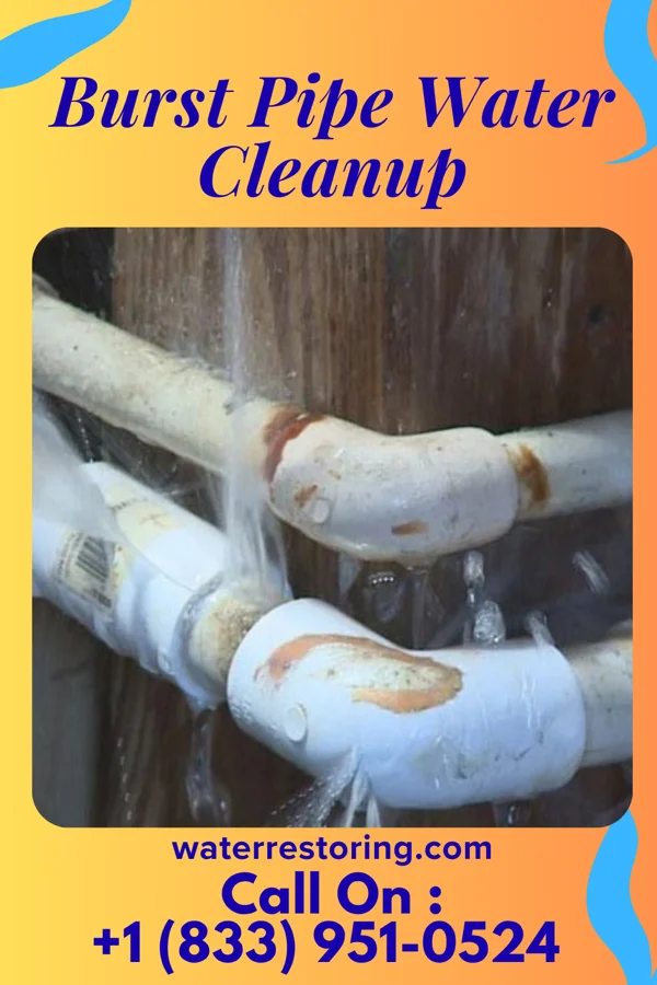 Burst Pipe Water Cleanup in Bridgewater Center, NJ