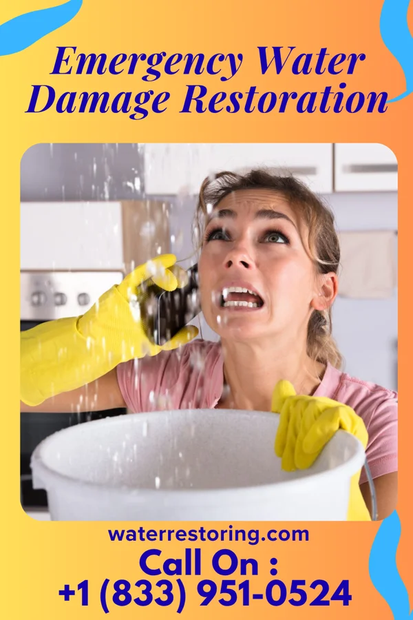 Emergency Water Damage Restoration in Bridgewater Center, NJ