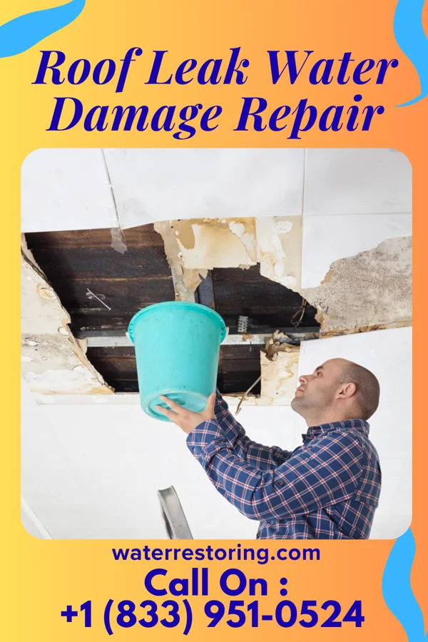 Roof Leak Water Damage Repair in Bridgewater Center, NJ