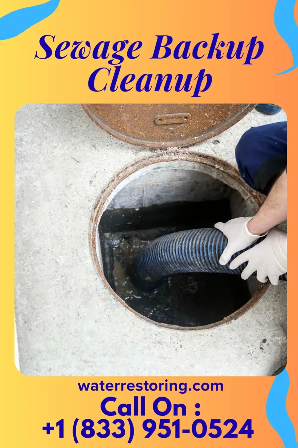 Sewage Backup Cleanup in Bridgewater Center, NJ