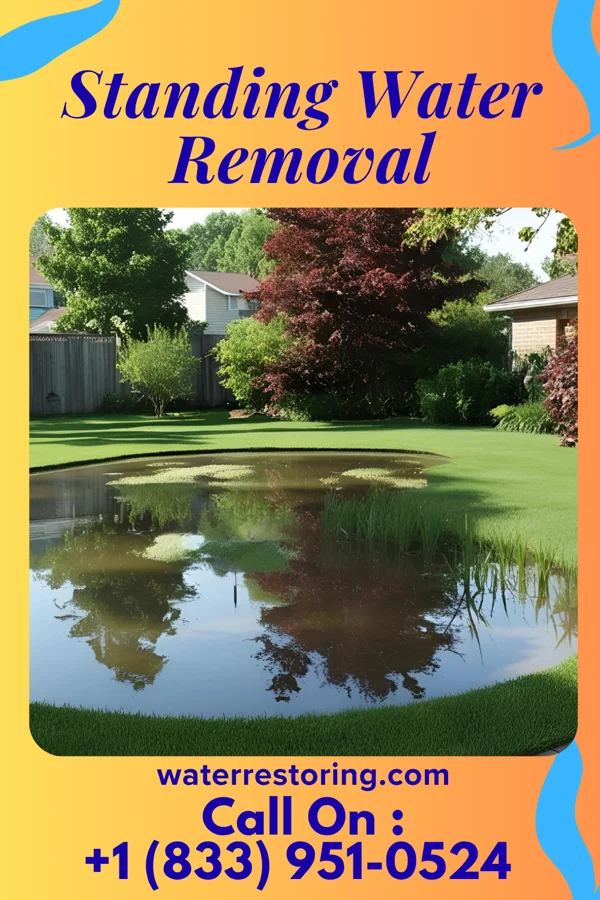 Standing Water Removal in Bridgewater Center, NJ